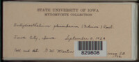Image Associated With the Occurence